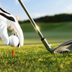 Micke Grove Golf Links photo