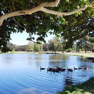  Oak Grove Regional Park photo