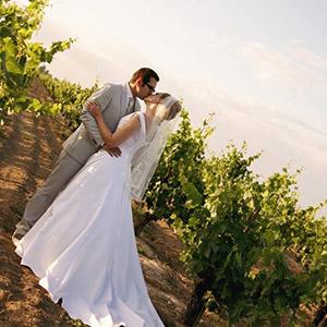 Harmony Wynelands photo