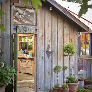 Philo Apple Farm photo