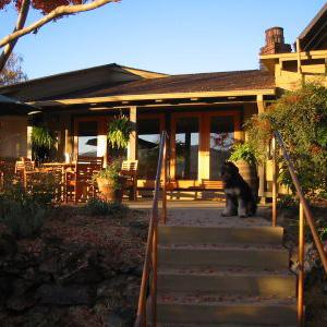 Nelson Family Vineyards photo