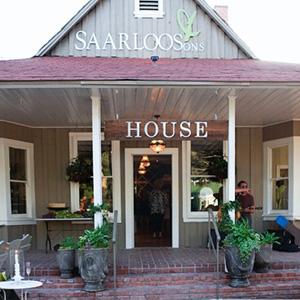 Saarloos + Sons photo