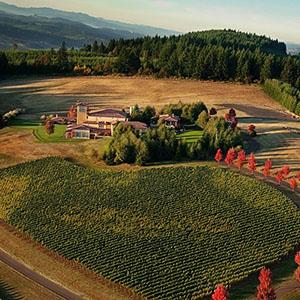 Domaine Serene photo