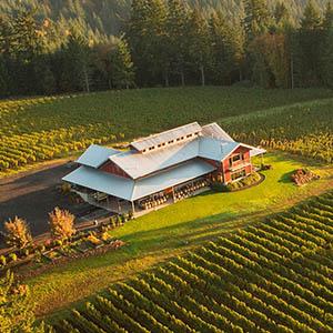 J.K. Carriere Winery photo