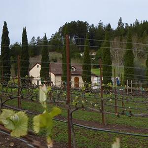 Soquel Vineyards photo