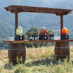 The Mountain Winery photo