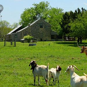 Palo Alto Creek Farm photo