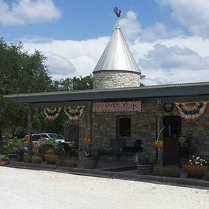 Dry Comal Creek Vineyard photo