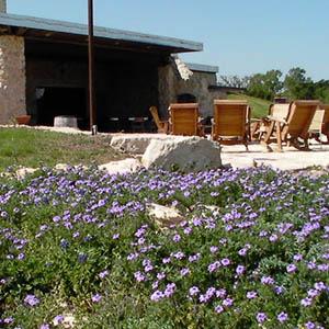 Red Caboose Vineyard and Winery photo