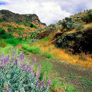 Cowiche Canyon Trail photo