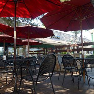 Las Palomas Restaurant & Bar photo