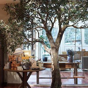 Spa at Carmel Valley Ranch photo