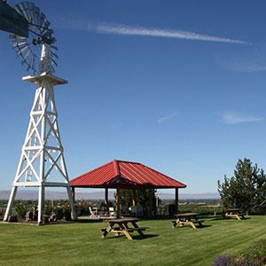 Hyatt Vineyards photo