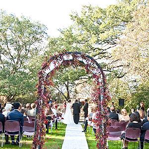 House on the Hill photo