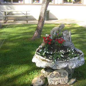 Gold Strike Village photo