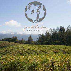 Kenwood Vineyards photo