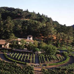 Pine Ridge Vineyards photo