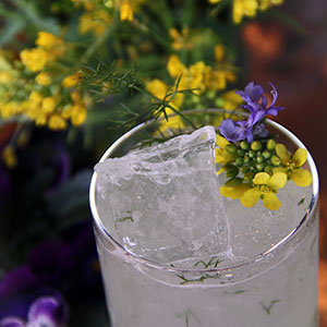 Spoonbar Spirit Tasting: Old World Spirits