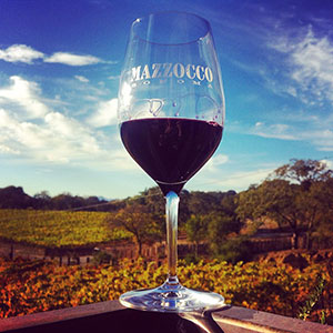 Soil Matters: Appellation Wine Tasting