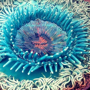 Call for Artists – ArtWalk Livermore