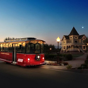 Lights of Livermore Holiday Tour