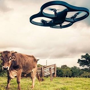 Up Up! Farm Film Festival- Sourlands