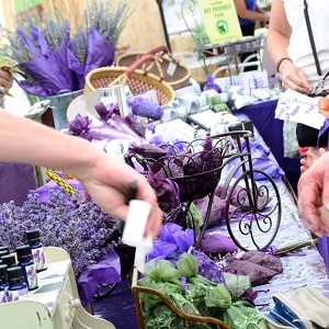 8th Annual Lavender Festival at Paso Robles Downtown City Park