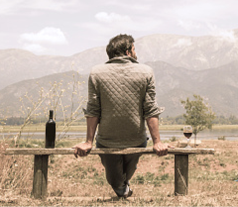 40+ PREMIUM WINERIES