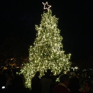 Celebrating Festival of Lights at V Marketplace