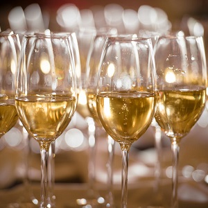 Terroir to Table: Terroir Exploration at Rutherford Hill Winery