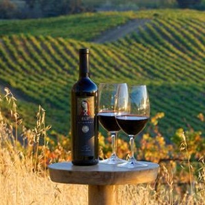 Terroir to Table: Winery Aromatherapy with a Corkscrew at St. Supéry Estate Vineyards