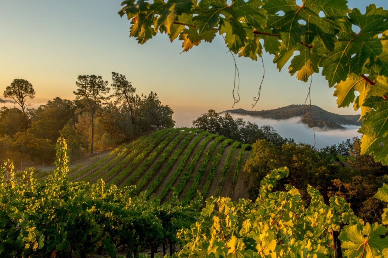 Somerston-1320x880-2