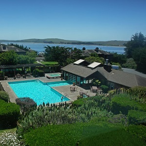 Christmas Day Lunch & Dinner