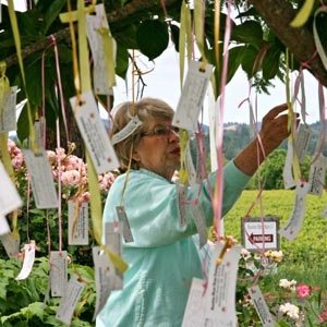 Tea & Memories in the Garden- Memorial Weekends at Russian River Rose Company