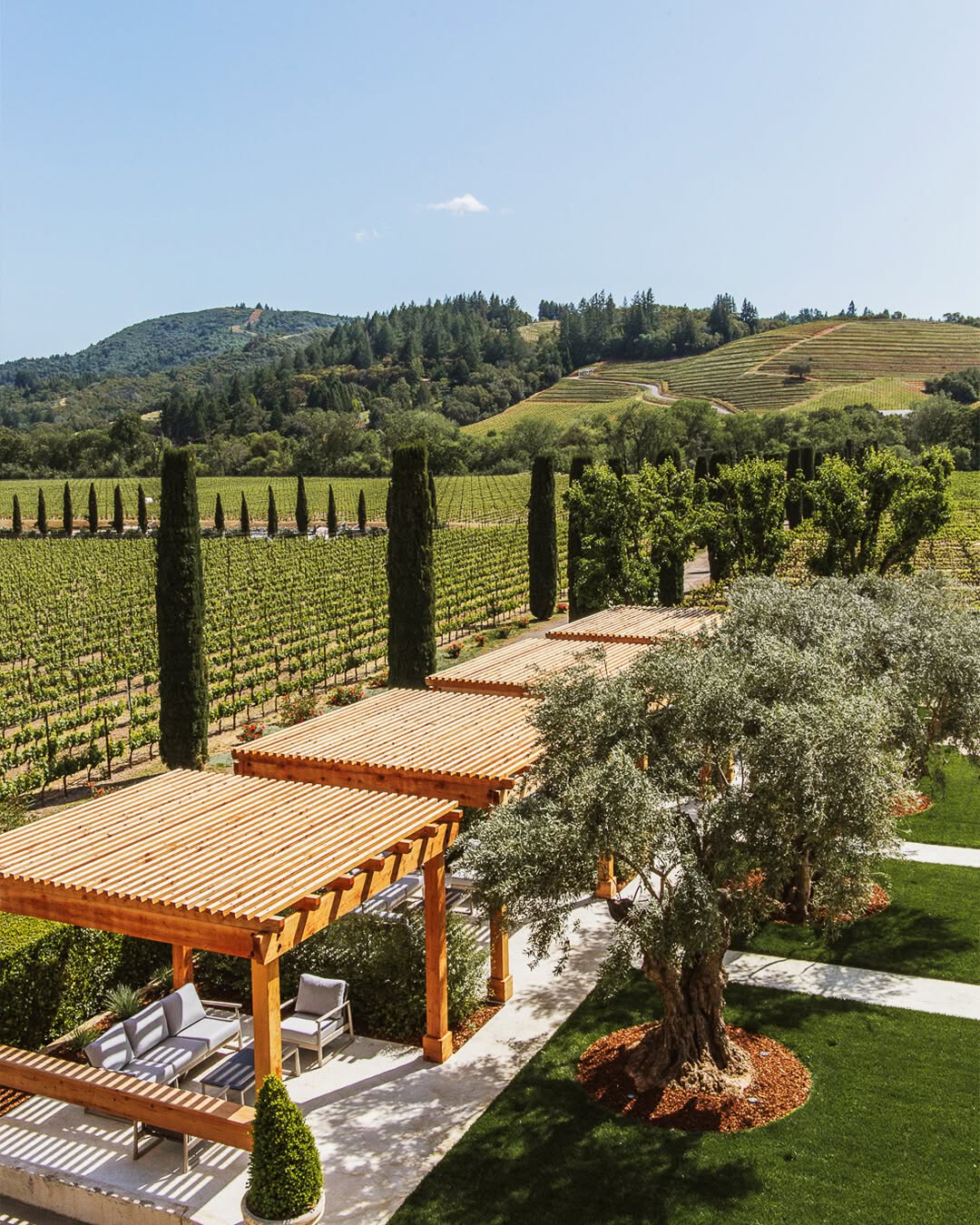 pergola at Ferrari-Carano Vineyards